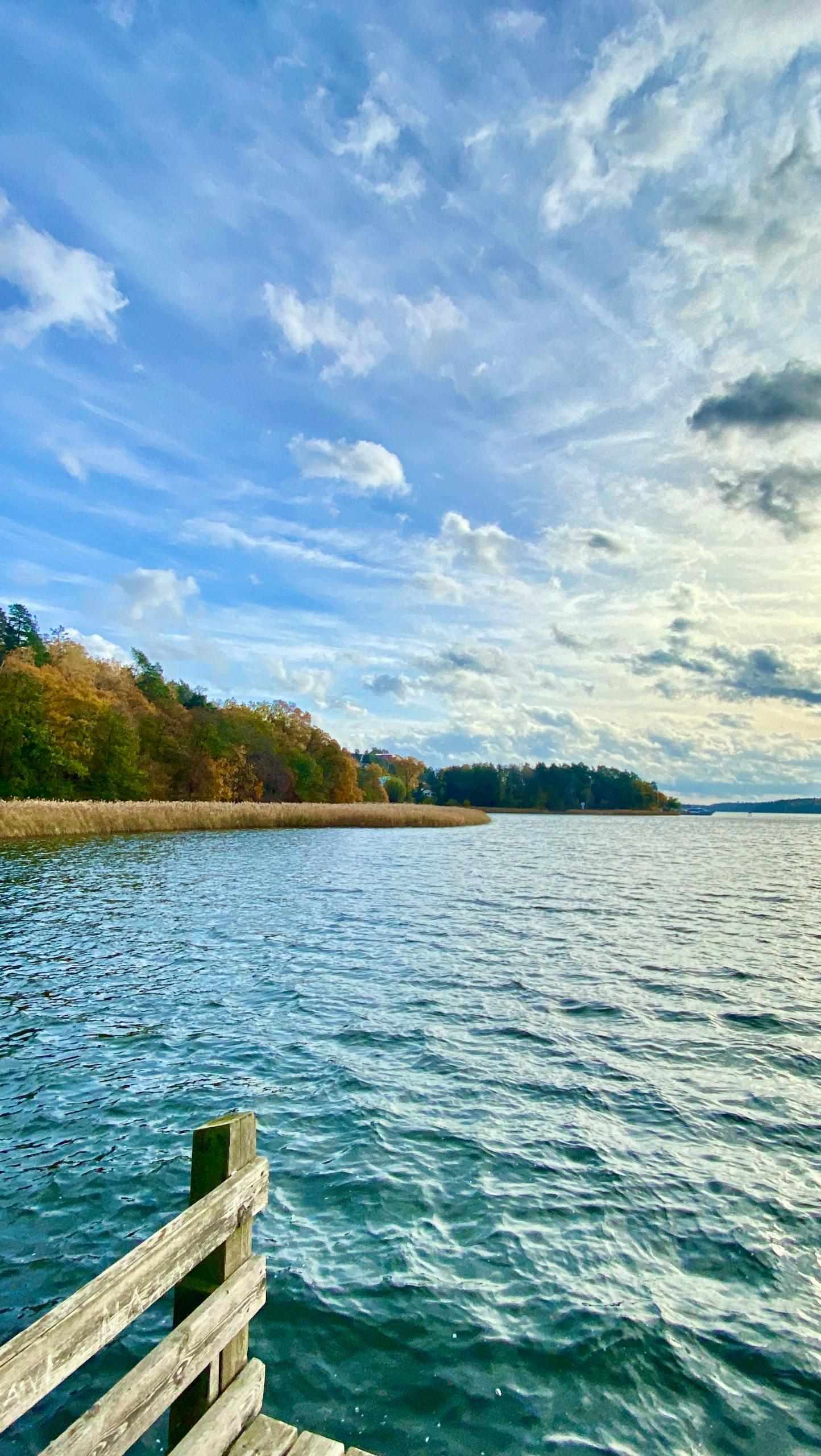 Picturesque view of Stockholm's waterfront with lush foliage and vibrant sky.
